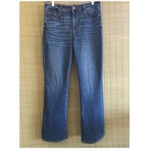 AE NE(X)T Level High Waisted Skinny Kick Jeans